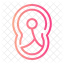 Beef  Icon