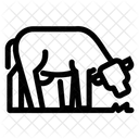 Beef Cattle Cow Icon