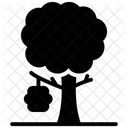 Beehive  Icon