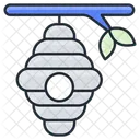 Beehive  Icon