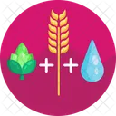 Beer Export Icon