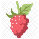 Obst Beeren Essen Symbol