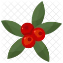 Beeren  Symbol