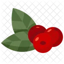 Beeren  Symbol