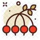 Beeren  Symbol