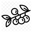 Beeren  Symbol