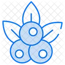 Beerenkuhler Beeren Obst Symbol