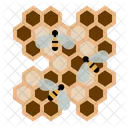 Bees Honeycomb Larvae Icon