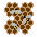 꿀벌 꿀 벌집 아이콘