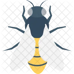 Bees  Icon