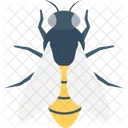 Fly Bees Insect Icon