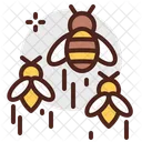 Bees Bee Honey Icon