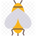 Bees  Icon