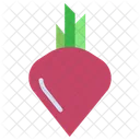Beetroot Vegetable Organic Icon