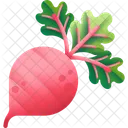 Beet Vegetable Food Icon