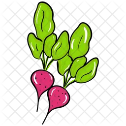 Beet  Icon