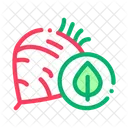 Beet Pepper Food Icon