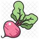 야채 비트 뿌리 아이콘