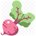 Vegetable Beet Root Icon