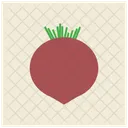 Beet Vegetable Root Icon