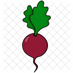 Beet  Icon