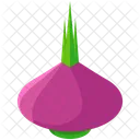 Radish Beet Vegetable Icon