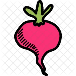 Beet  Icon