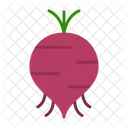 Beet Root Raw Icon