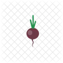 Beet  Icon