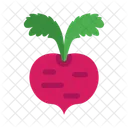 Beet  Icon