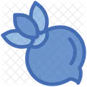 Beet  Icon