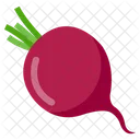 Beet Rout  Icon