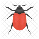 Ladybug Beetle Bug Icon