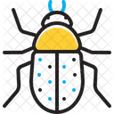 Beetle Bug Fly Icon