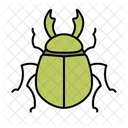 Beetle Bug Insect Icon