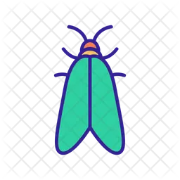 Beetle  Icon