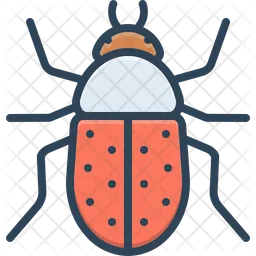 Beetle  Icon