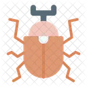 Beetle Insect Bug Icon