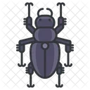 Beetle Animal Icon