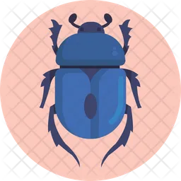 Beetle  Icon