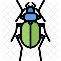 Beetle  Icon