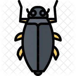 Beetle  Icon