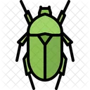 Beetle Bug Insect Icon