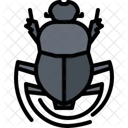 Beetle  Icon
