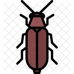 Beetle  Icon