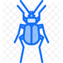 Insect Beetle Bug Icon