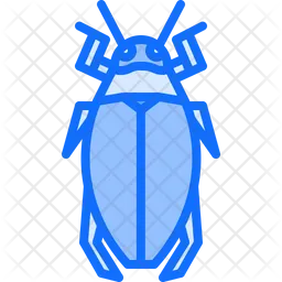 Beetle  Icon