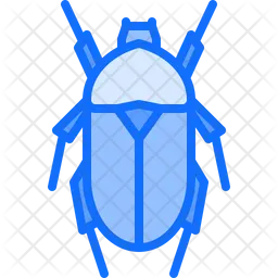 Beetle  Icon