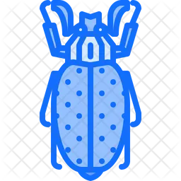 Beetle  Icon