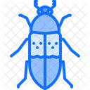 Beetle Bug Insect Icon